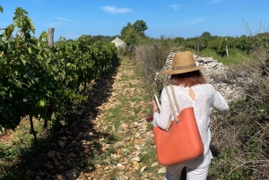 Vodnjan: Teraboto Tour with Wine and Olive Oil Tasting
