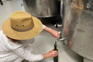 Vodnjan: Teraboto Tour with Wine and Olive Oil Tasting