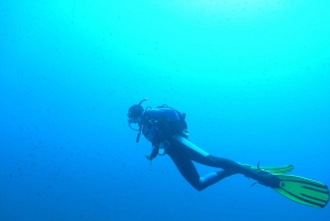VRBNIK: Discovery scuba dive adventure