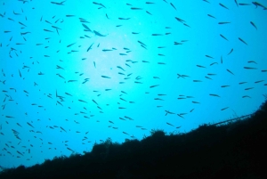 VRBNIK: Aventura de mergulho de descoberta