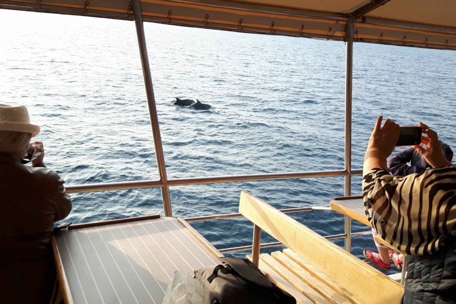 Vrsar: 2-Hour Sunset Dolphin Watching Cruise