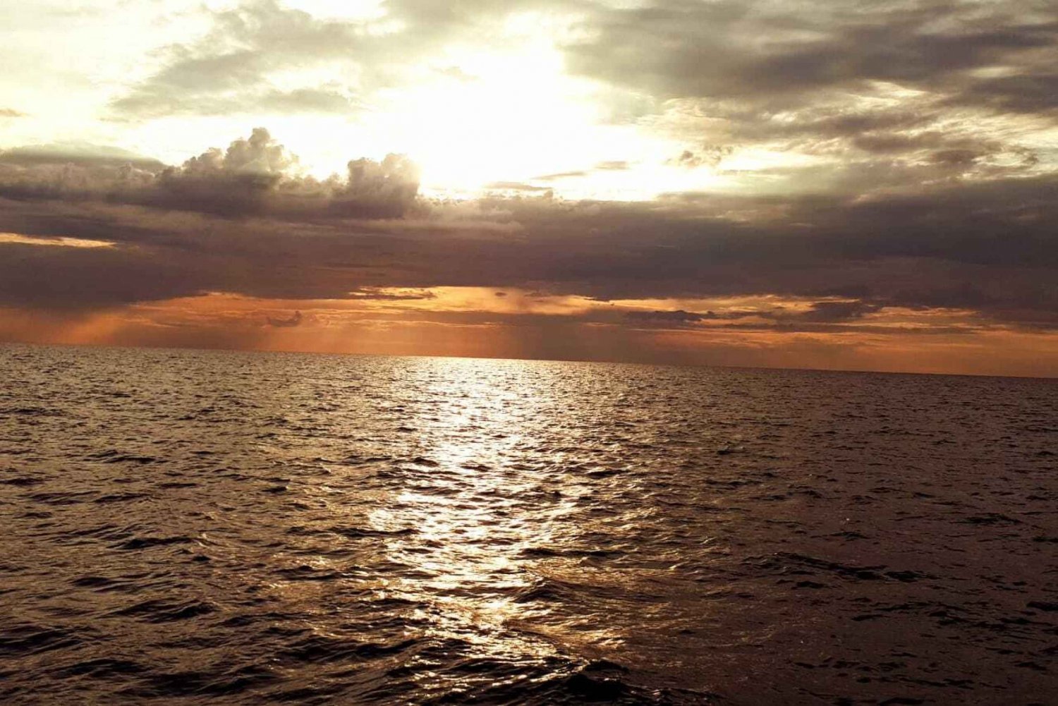 Vrsar: 2-Hour Sunset Dolphin Watching Cruise