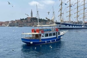 Izlet brodom iz Vrsara: Zalazak sunca i druženje s delfinima