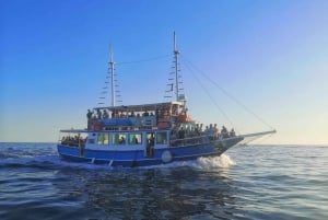 Izlet brodom iz Vrsara: Zalazak sunca i druženje s delfinima