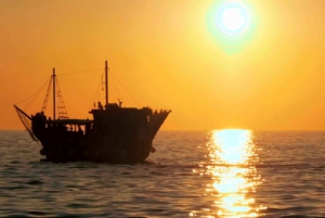 Vrsar: Dolphin Watching Boat Ride