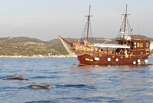 Vrsar: Dolphin Watching Boat Ride