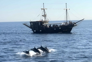 Vrsar: Dolphin Watching Boat Ride