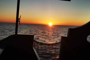 Vrsar: Dolphin Watching Boat Ride