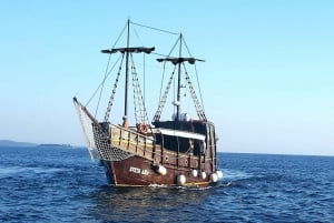 Vrsar: rejs łodzią połączony z obserwacją delfinów