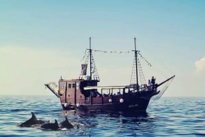 Vrsar: rejs łodzią połączony z obserwacją delfinów