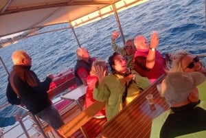 Vrsar : Tour en bateau pour observer les dauphins, boissons comprises
