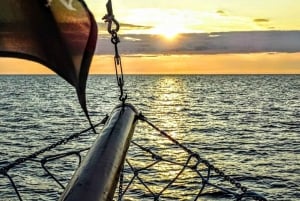 Orsera: tour in barca per osservare i delfini, bevande incluse