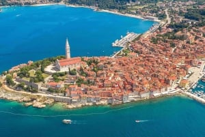 Vrsar: Dolphin Watching Boat Tour including Drinks