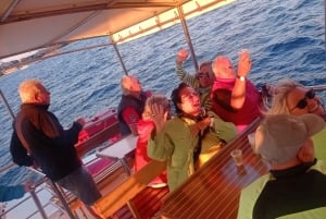 Vrsar: Dolphin Watching Boat Tour including Drinks