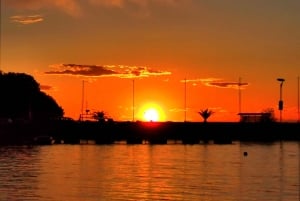 Vrsar: Dolphin Watching Boat Tour including Drinks