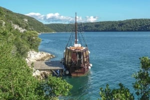 Vrsar: Lim Fjord Boat Tour med simning nära Pirate's Cave