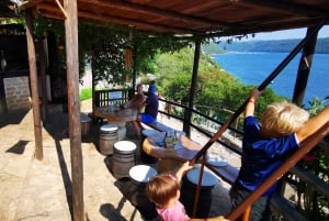 Vrsar: Lim Fjord Boat Tour with Swimming near Pirate's Cave