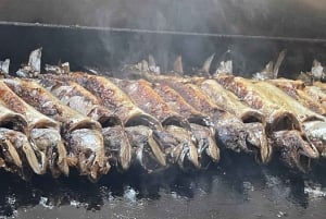 Vrsar: Fiordo de Lim - Picnic de pescado en Rovinj