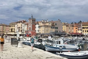 Vrsar: Fiordo de Lim - Picnic de pescado en Rovinj