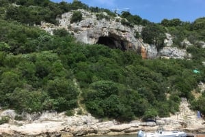 Vrsar: Fiordo de Lim - Picnic de pescado en Rovinj