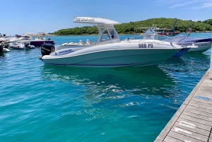 VRSAR: Night Boat Tour to Rovinj with Dolphin Watching