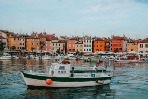 VRSAR: Night Boat Tour to Rovinj with Dolphin Watching