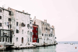 VRSAR: Night Boat Tour to Rovinj with Dolphin Watching