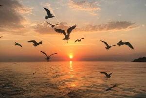 VRSAR: Night Boat Tour to Rovinj with Dolphin Watching