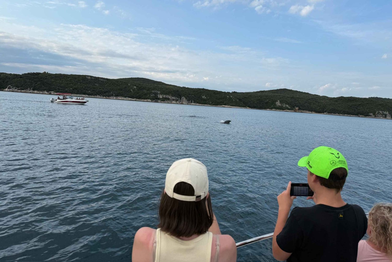 Vrsar: Private Speedboat Tour with Dolphin Watching
