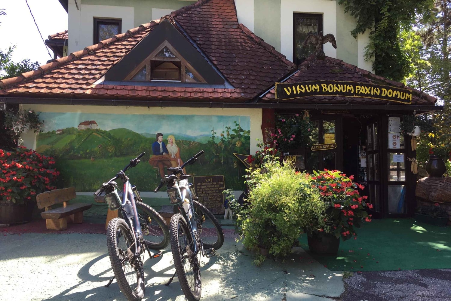 Vuglec Breg: E-Bike Ride to Castles with Wine Tasting