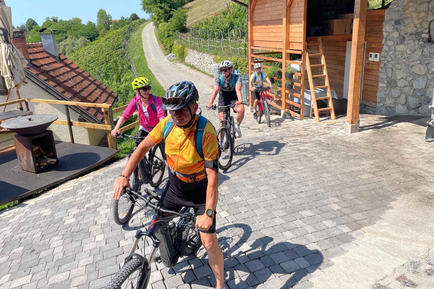 Vuglec Breg: E-Bike Ride to Castles with Wine Tasting