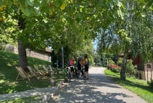 Vuglec Breg: E-Bike Ride to Castles with Wine Tasting