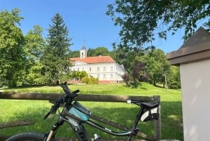 Vuglec Breg: E-Bike Ride to Castles with Wine Tasting
