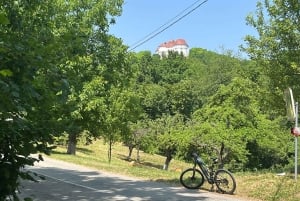 Vuglec Breg: E-Bike Ride to Castles with Wine Tasting