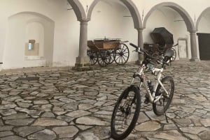 Vuglec Breg: E-Bike Ride to Castles with Wine Tasting