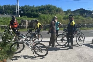 Vuglec Breg: E-Bike Ride to Castles with Wine Tasting