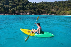 Water activity, kayak tours with a guide, cliff jumping