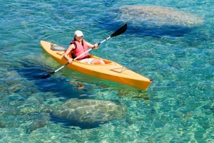 Attività acquatiche, tour in kayak con guida, salto dalle scogliere