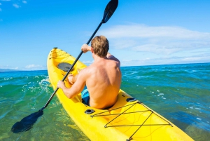Actividad acuática, excursiones en kayak con guía, salto de acantilados