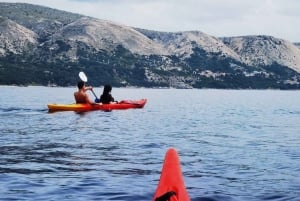 Water activity, kayak tours with a guide, cliff jumping