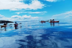 Water activity, kayak tours with a guide, cliff jumping
