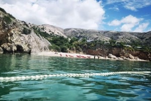 Water activity, kayak tours with a guide, cliff jumping