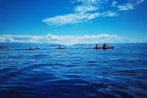 Water activity, kayak tours with a guide, cliff jumping