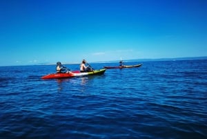 Water activity, kayak tours with a guide, cliff jumping