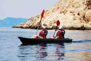 Water activity, kayak tours with a guide, cliff jumping