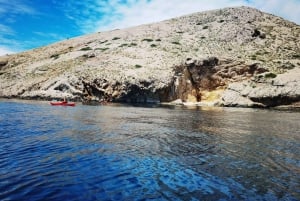 Water activity, kayak tours with a guide, cliff jumping