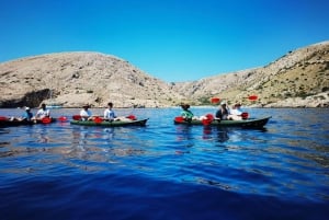 Water activity, kayak tours with a guide, cliff jumping