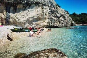 Water activity, kayak tours with a guide, cliff jumping
