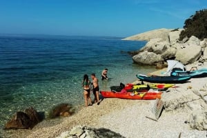 Water activity, kayak tours with a guide, cliff jumping
