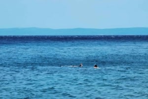Water activity, kayak tours with a guide, cliff jumping